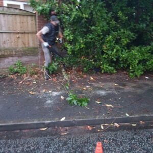 Bushes removed fencing and gate fitted